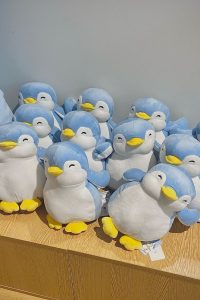 gấu bông chim cánh cụt miniso