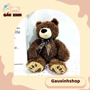 Gấu Bông Teddy Lông Xù Cột Nơ Cực Yêu