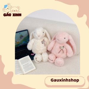 thỏ bunny