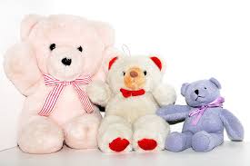 Shop bán gấu Teddy