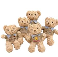 Gấu Teddy thêu tên