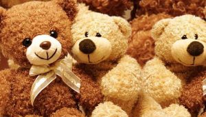 Mua gấu Teddy ở đâu chất lượng