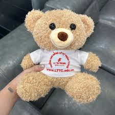 Mua gấu Teddy ở đâu