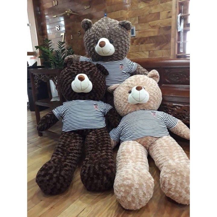 Gấu Teddy Size Bự - Ảnh 2